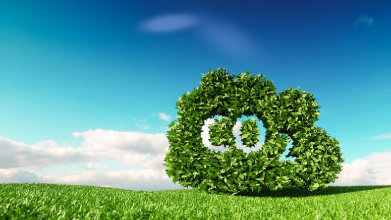 CO2 neutral